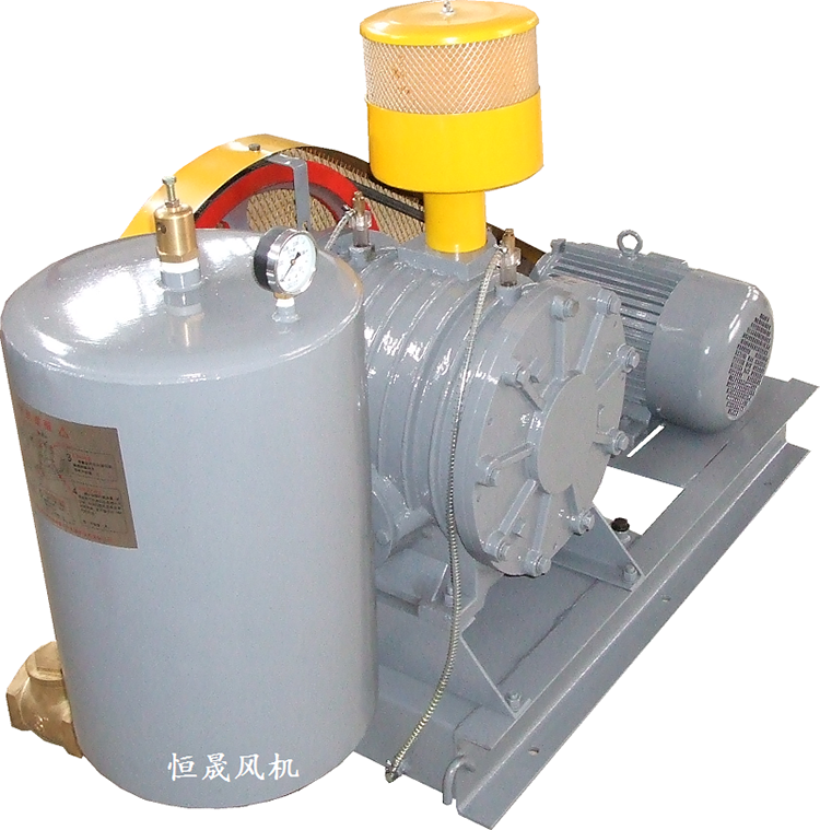 HC-60S回轉(zhuǎn)式鼓風(fēng)機(jī)
